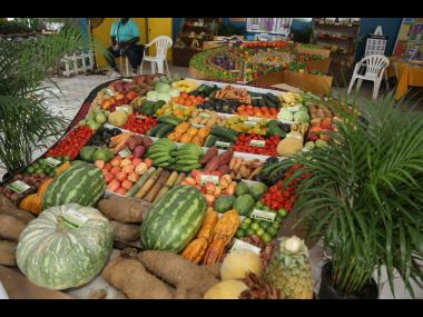 
Fruits and vegetables on display at Denbigh agriculture show. Ransford Smith writes: ...GCT applied only to an imported category of agricultural products, and not to like domestic products, violates its trade treaty obligations. 