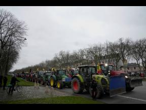 Tractors are parked during a protest, near the Chateau de Versailles, outside Paris, Friday, March 1, 2024.