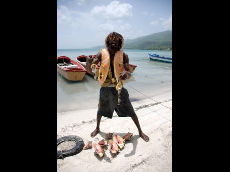 Photo by Hope Evans
In this file photo, Savanna-la-Mar fisherman ‘Fitzroy’ Summerville showcases his catch of conch. A one-year ban on the fishing and sale of conch will come into effect shortly. 