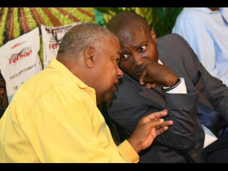 Lenworth Fulton (left), president of the JAS, is engrossed in conversation with Courtney Cole, chief technical director in the Ministry of Agriculture and Fisheries, at the launch of Farmers’ Month in Kingston recently. 