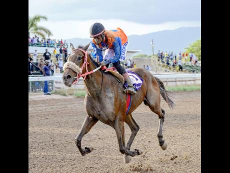 Oneal Scott, aboard MASTER OF HALL, wins the eighth race at Caymanas Park on Saturday, September 1, 2018. File