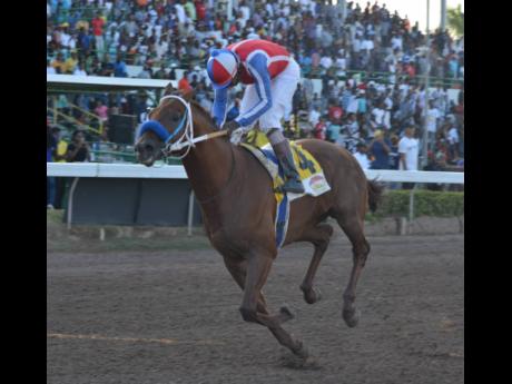 SUPREME SOUL, with Shane Ellis aboard, gallops to a win in the Jamaica Derby at Caymanas Park yesterday.