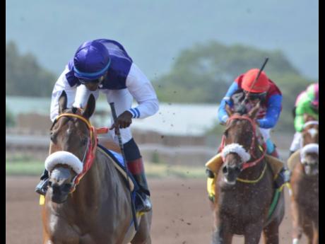 
She’s a Maneater won the feature race at Caymanas Park yesterday, the None Such Trophy over six furlongs, with Omar Walker aboard. 