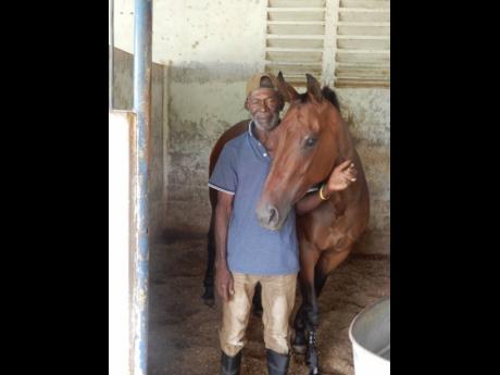 
Groom Wesley Hewitt pictured with VICTORY TURN, one of the young horses in his care, at the stables at Caymanas Park on Friday. 