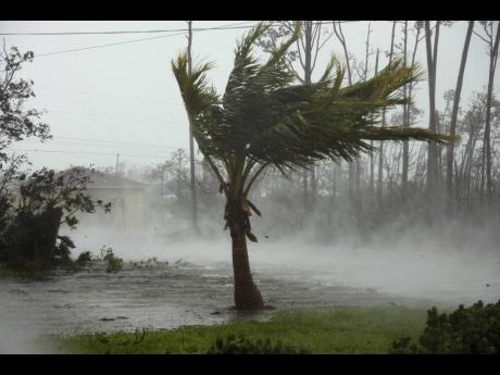 Strong winds from Hurricane Dorian blow the tops of trees while whisking up water from the surface of a road in Freeport, Grand Bahama, Bahamas, yesterday.