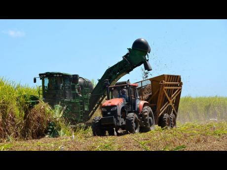
This February 26, 2014 photo shows a state-of-the-art cane harvester introduced at the Monymusk Sugar Estate in Lionel Town, Clarendon, by Chinese investor Pan Caribbean Sugar Company.