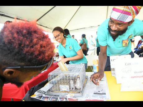 Hugh Haughton (right), assistant food-storage scientist at the Food Storage and Prevention of Infestation Division, watches as Ricardo Lawrence observes different types of rats at an open day at the Ministry of Industry, Commerce, Agriculture and Fisheries’ Hope Gardens headquarters on Thursday. In the background is Yanique Black, assistant food-storage scientist at the Microbiology Unit. 