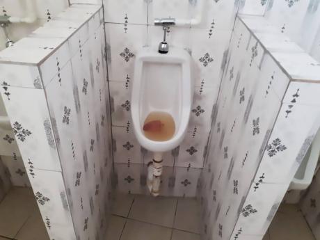 Stagnant urine in a bathroom at the College of Agriculture, Science and Education. The students say that the institution is troubled by inconsistent water supply. 