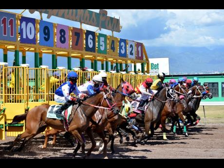 
Horses storm out of their gates for the running of the fourth race at Caymanas Park on Saturday, August 10, 2019. Focus has now turned to a dwindling horse population at the track’s stable, as one of the issues affecting revenue in local horse racing.