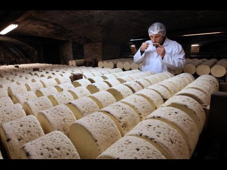 In this January 21, 2009 file photo, Bernard Roques, a refiner of Societe company, smells a Roquefort cheese as they mature in a cellar in Roquefort, southwestern France. 