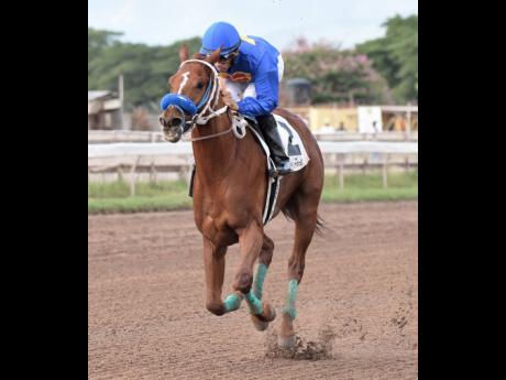 
Rohan Kabir, ridden by Simon Husbands, winning The City of Kingston Centenary Cup Trophy at Caymanas Park yesterday.