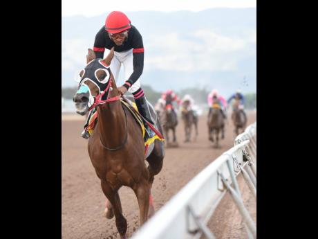 
SENTIENT (Anthony Thomas) wins yesterday’s 10th race at Caymanas Park by 11 lengths. 