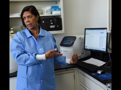Dr Alison Nicholson, head of the Department of Microbiology at the University Hospital of the West Indies, explains how the Roche LightCycler works when testing samples for the novel coronavirus.