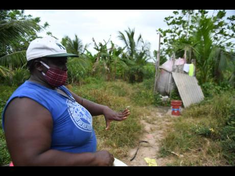 Sandra Ferguson shows the outdoor bathroom her family of 10 is forced to use at her Annotto Bay, St Mary, home on Thursday.  