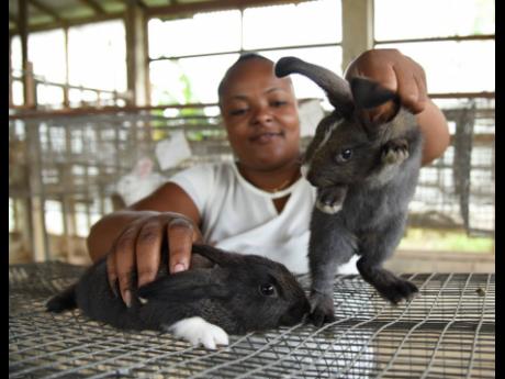 Sharolyn Johnson, manager, 4-H Clubs in St Catherine, shows off some of the different varieties of rabbits at the centre in Linstead.