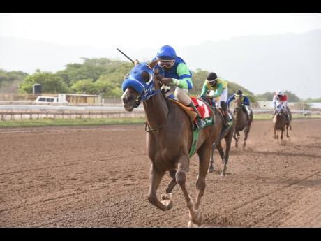 
MAHOGANY, with Dane Dawkins aboard, wins the 9th race ahead of stablemate FATHER PATRICK at Caymanas Park yesterday.