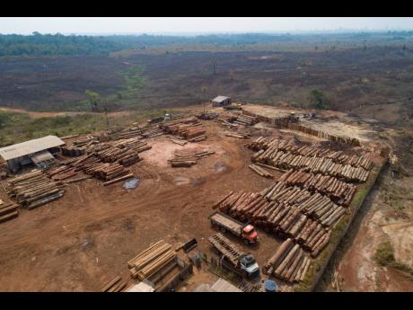 AP
In this September 2, 2019 file photo, logs are stacked at a lumber mill surrounded by recently charred and deforested fields near Porto Velho, Rondonia state, Brazil. Dozens of Brazilian corporations are calling for a crackdown on illegal logging in the