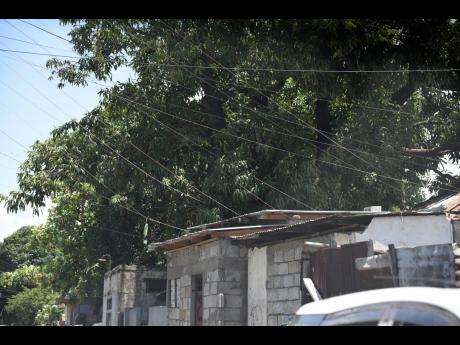 A section of Penn Street in Jones Town that has scores of illegal connections to the Jamaica Public Service line.