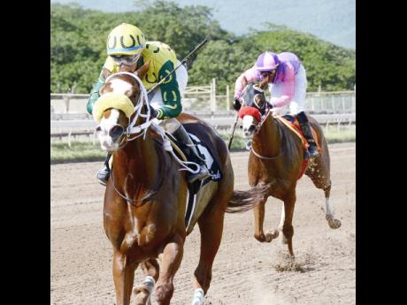 Dick Cardenas jockeys EXHILARATED to victory in the fifth race at Caymanas Park on Saturday, November 24, 2018.