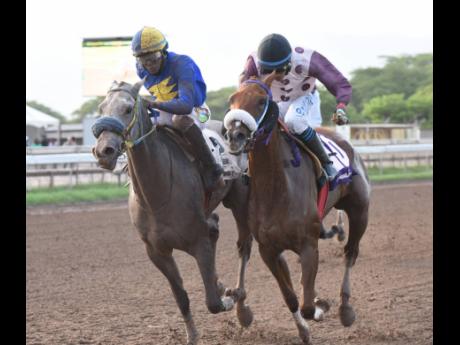 TOP SHELF (left), ridden by Anthony Thomas, edges out ENUFFISENUFF, ridden by Omar Walker, by a nose to the win the ninth race at Caymanas Park on Sunday, July 5.