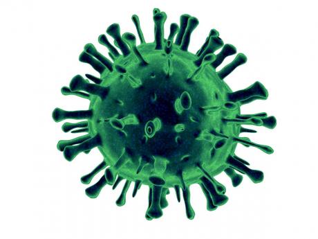 There have been 19 coronavirus deaths in Jamaica.