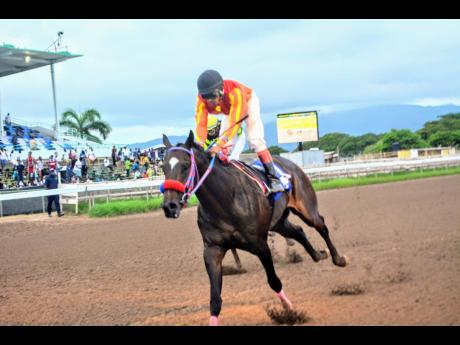 SIR ALTON, ridden by Anthony Thomas, wins the Ronron Trophy  at Caymanas Park in St Catherine yesterday.