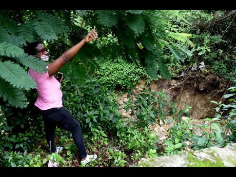 A landslide claimed much of Juliet Clarke’s backyard after floodwaters rushed from the main road on to her property. 