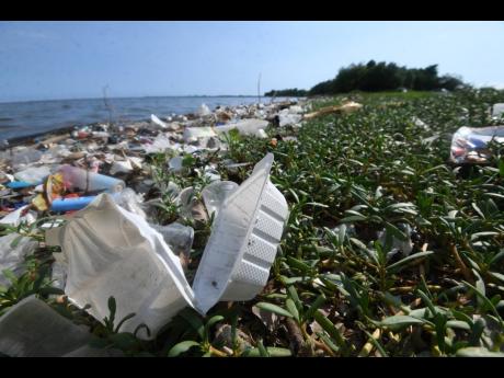 Sirgany Beach is littered with garbage, including plastic lunch containers that have replaced the now-banned styrofoam boxes. Styrofoam is not biodegradable and was a nagging pollutant dumped in drains and along coastlines. 
