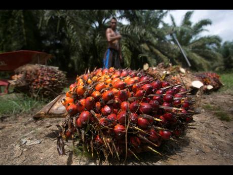 AP Photos
A worker loads heavy bunches of palm oil fruit into a cart on a palm oil plantation in Sumatra, Indonesia, on November 13, 2017. Palm oil is virtually impossible to avoid. Often disguised on labels as an ingredient listed by more than 200 names, 