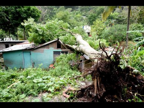 Eighty-year-old Lola Johnson sat paralysed with fear as a tree fell on her home in Smithville, Clarendon, on Sunday during heavy rains.