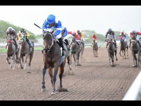 Wow Wow, ridden by Robert Halledeen, winning the 10th race over 1300 metres at Caymanas Park on Sunday, July 5.