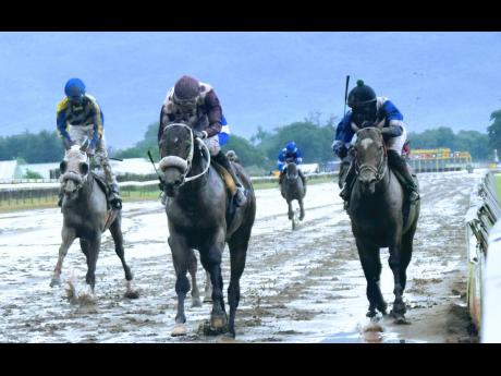 
KING ARTHUR (centre), ridden by Phillip Parchment, wins the 100th running of the Jamaica Derby for trainer Wayne DaCosta in a stunning upset over NIPSTER (right), ridden by Linton Steadman, at Caymanas Park yesterday.