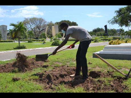 Ground digging has commenced at the National Heores Park, in preparation for the  burial  of Frederick Nathaniel ‘Toots’ Hibbert. He’ll be buried beside legendary reggae singer, Dennis Emanuel Brown.   Anchard Anderson is seen digging the grave.