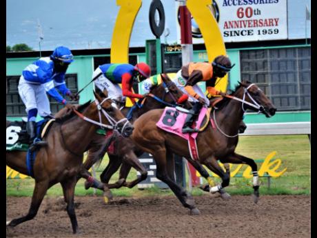 EROY (right), ridden by Omar Walker, upsets pre-race favourite NIPSTER (left), with Robert Halledeen aboard, to win the seventh race at Caymanas Park on Saturday, August 15.