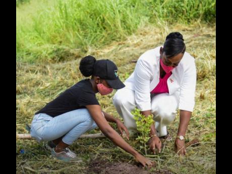 Member of Parliament Juliet Holness (right) and Johnann Davy planting a tree.