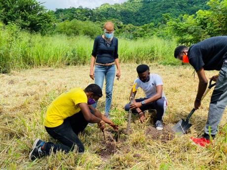 From left: Oneil Dowe, Minister Fayval Williams, Christopher Wilson and Rowan Small planting trees.