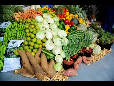 The Jamaica Agricultural Society is projecting that as a result of the recent heavy rainfall, there will be a shortage of almost every crop this Christmas.
