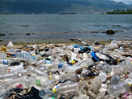 Pollution from single-use plastics and other sources has become a growing concern for Jamaica, as elsewhere in the world.