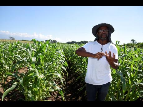 Bernard Lodge farmer Paul Heny, who now cultivates just a two-acre plot as he awaits relocation, is insisting that the lands are better suited for agriculture and have been producing world-class yields.