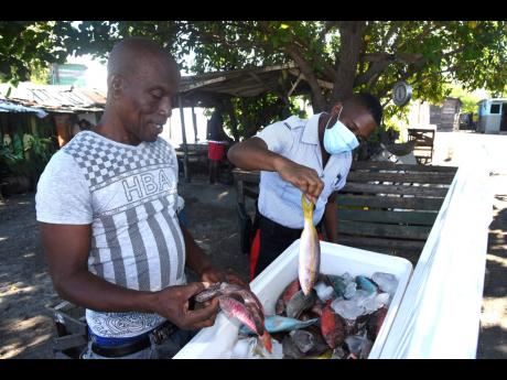 Delroy Peddler assists Constable Bennett in puchasing fish at the Greenwich Town Fishing Village in Kingston yesterday. Peddler says that since the COVID-19 outbreak, there has been a dramatic decline in buyers at the fishing village.