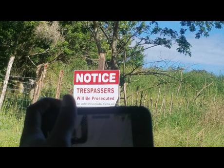 A sign said to have been placed on lands leased by farmers at Long Pond in Trelawny.