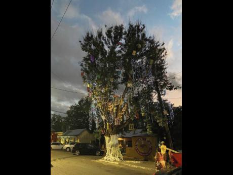 Lights! For the first time in 20 years, the large acacia tree in the centre of Oracabessa, 
St Mary, comes alive with lights and artistic decorations for the Christmas season. 