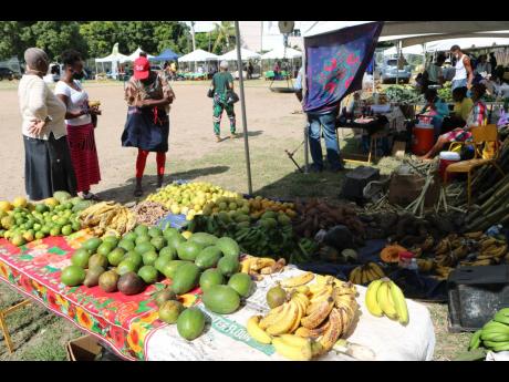 A vendor at Friday’s farmers’ market at the playfield of the Ministry of Agriculture and Fisheries, Hope Gardens head office. St. Andrew.