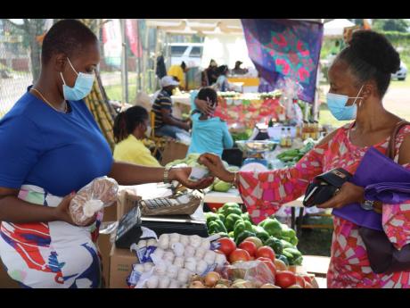 A visitor purchases fresh produce at Fridays Farmers market hosted by the Kingston and St. Andrew Association of Branch Societies of the Jamaica Agricultural Society. 