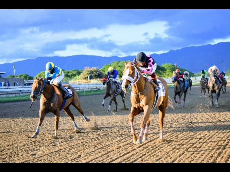 SPARKLE DIAMOND (right), ridden by jockey Anthony Thomas, wins the eighth race over CHACE THE GREAT (left) at Caymanas Park in St Catherine on Sunday, December 13.
