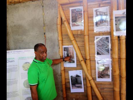 In this file photo, Gladstone Rose of the Bureau of Standards Jamaica makes a point about the use of bamboo.
