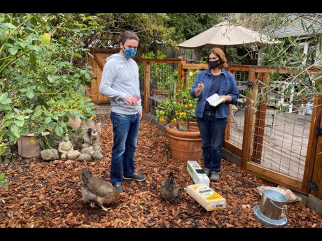 AP 
Ben Duddleston (left) discusses buying chickens and supplies from Leslie Citroen, owner of Mill Valley Chickens in Mill Valley, California, on December 15, 2020.
