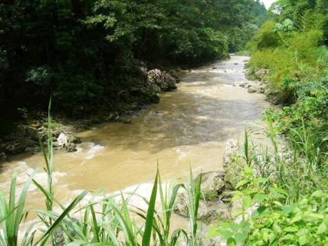 Rio Cobre flows through the gorge.