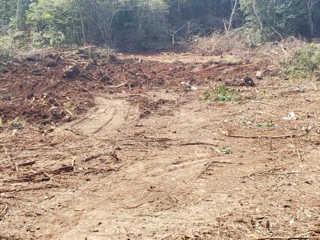 A section of the SCJ land with the topsoil removed.