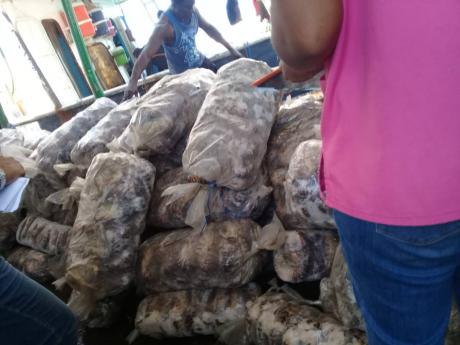 Staff of the Fisheries Division sort through 55,000 pounds of conch, crab, fish and lobster seized from poachers in 2019. Contributed